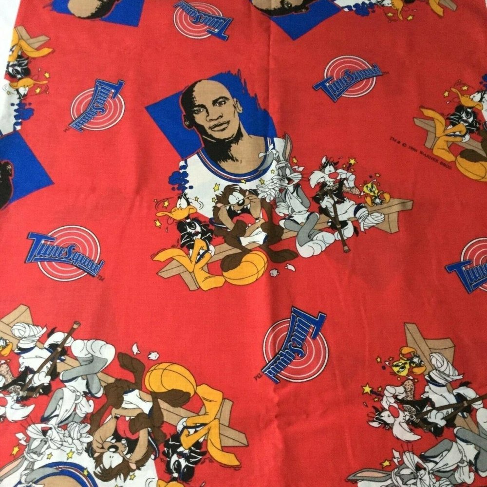 Vintage 1996 Space Jam Fabric Michael Jordan 62" L